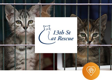 13th Street Cat Rescue